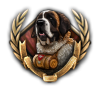 GFX_focus_SWI_spirit_of_saint_bernard